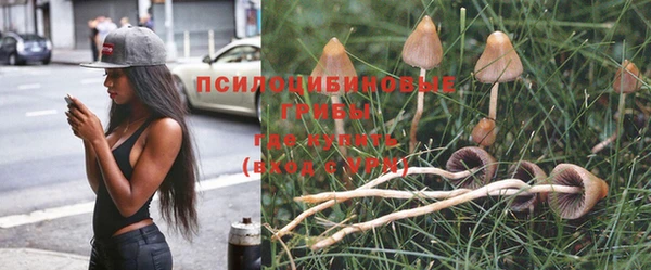 синтетический гашиш Арсеньев