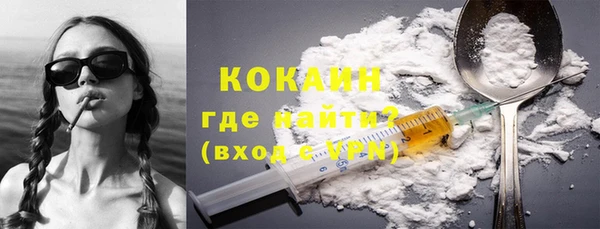 трава Сатка