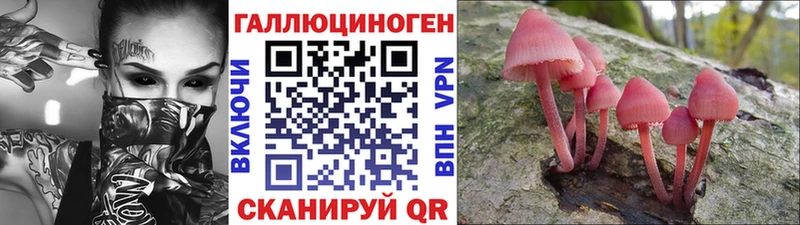 купить закладку  Сорочинск  MEGA зеркало  Псилоцибиновые грибы Psilocybine cubensis 