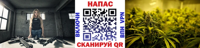 Конопля MAZAR  omg как войти  Сорочинск 